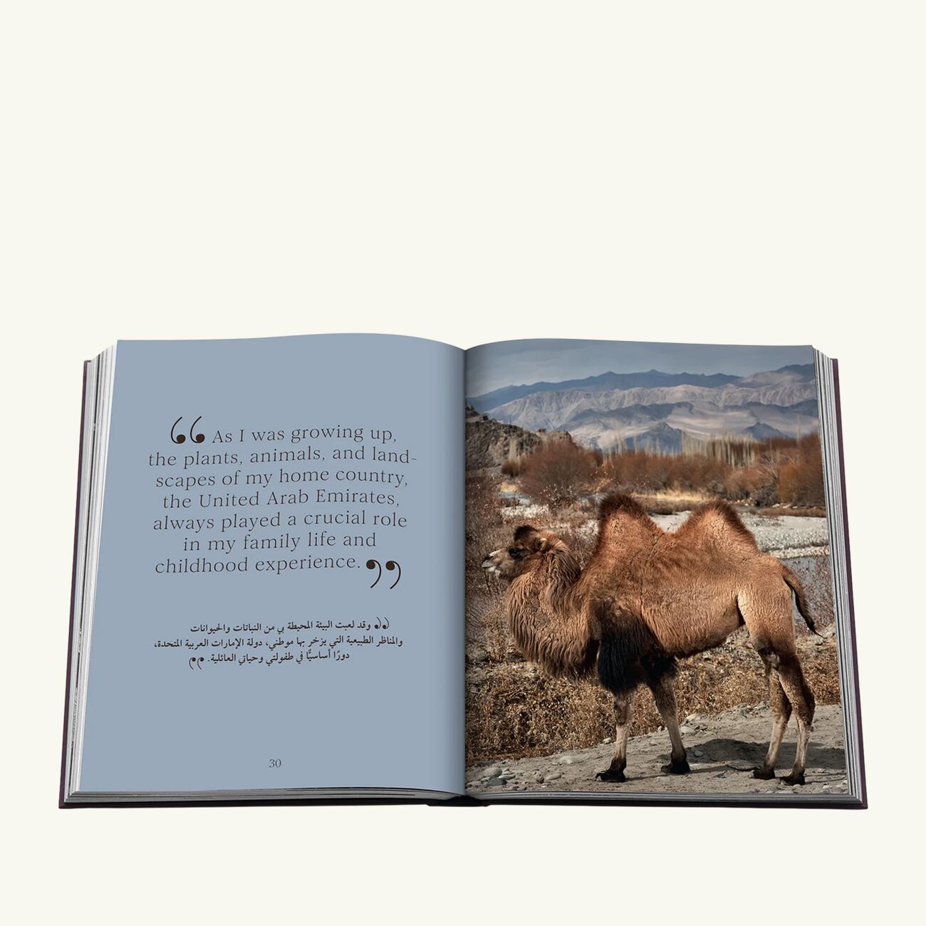 آسولين كتاب أود تو آ كامِل  إنجليزي وعربي    36   28 سم