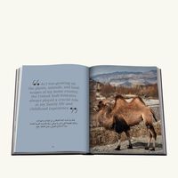 آسولين كتاب أود تو آ كامِل  إنجليزي وعربي    36   28 سم