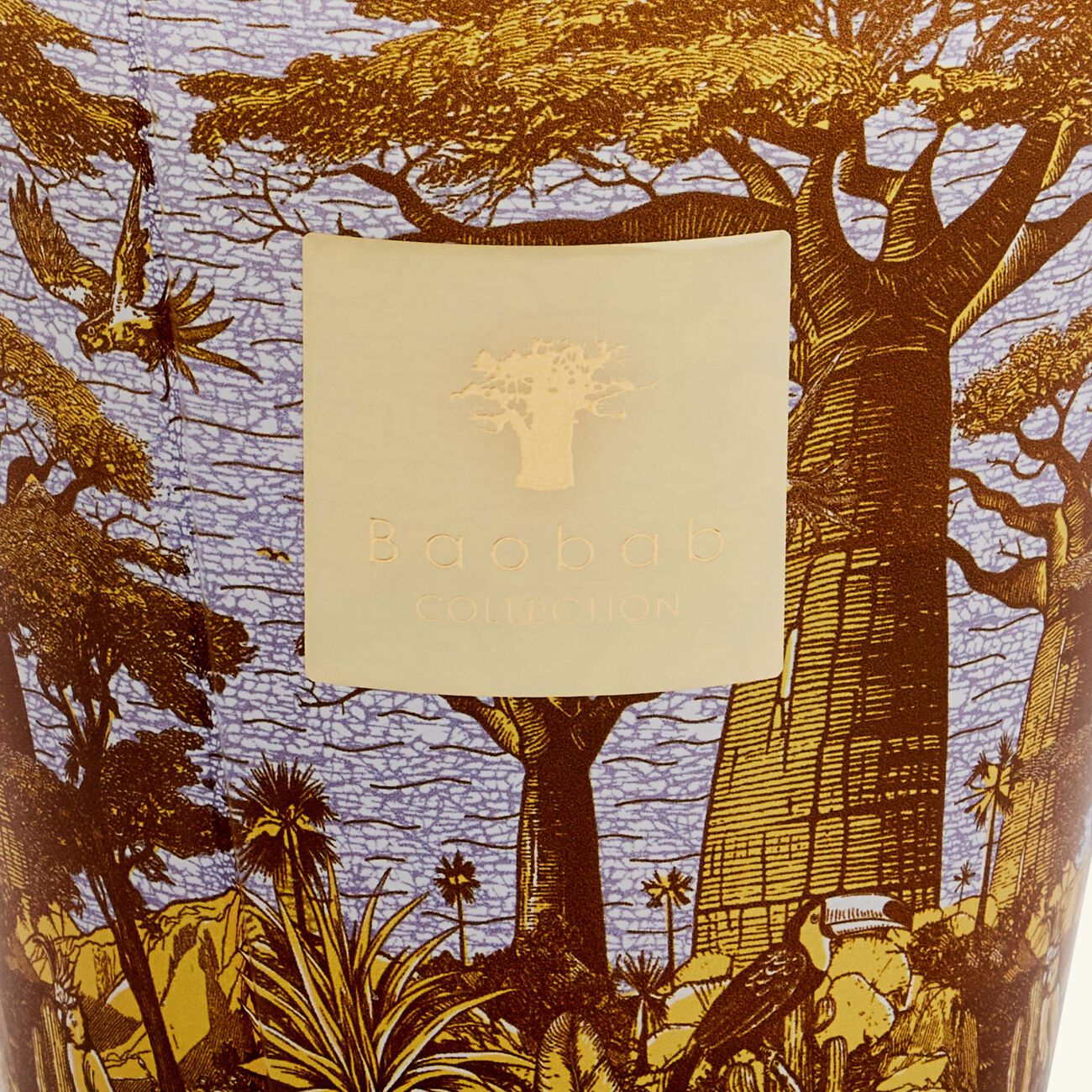 baobab collection sacred trees cocody candle max 16