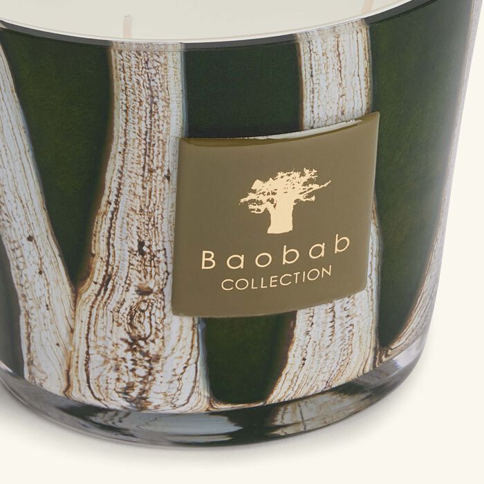 baobab collection woods sherwood candle max 10