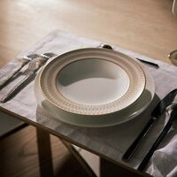 baccarat arcadia soup plate gold platinum 23cm set of 2