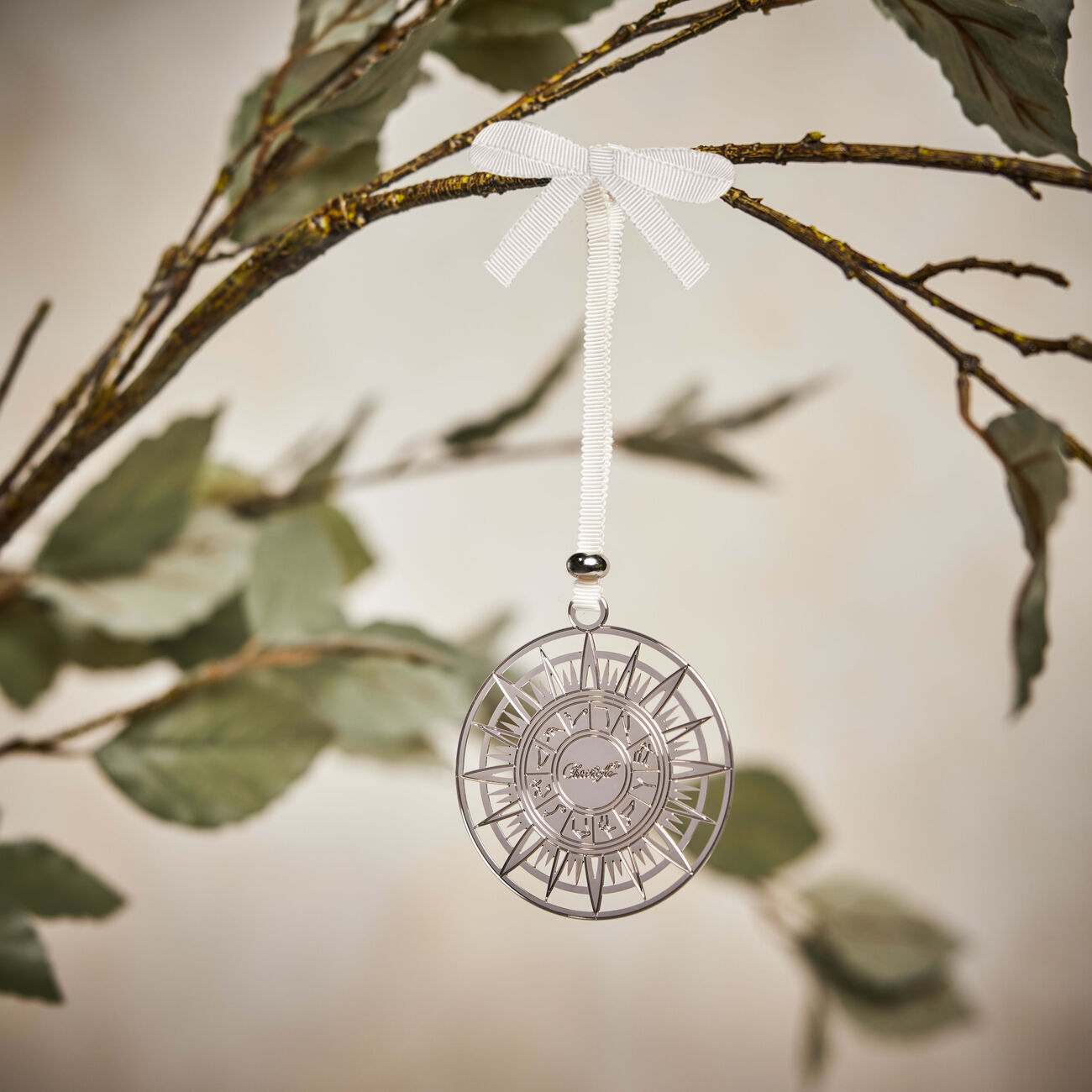 مجموعة ريڤ كوزميك لقطع الديكور مكونة من 3 قطع صغيرة باللون الفضي كريستوفل مجموعة ريڤ كوزميك لقطع الديكور مكونة من 3 قطع صغيرة باللون الفضي