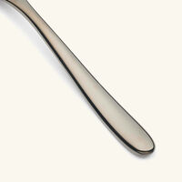 christofle l ame de dessert spoon black