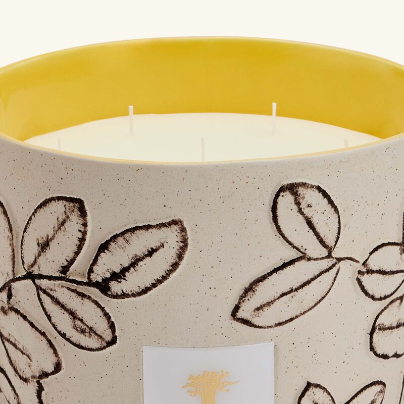 baobab collection folia calanque candle max 35