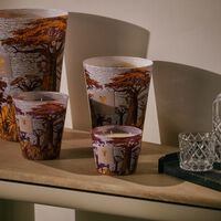 baobab collection sacred trees massasso candle max 10
