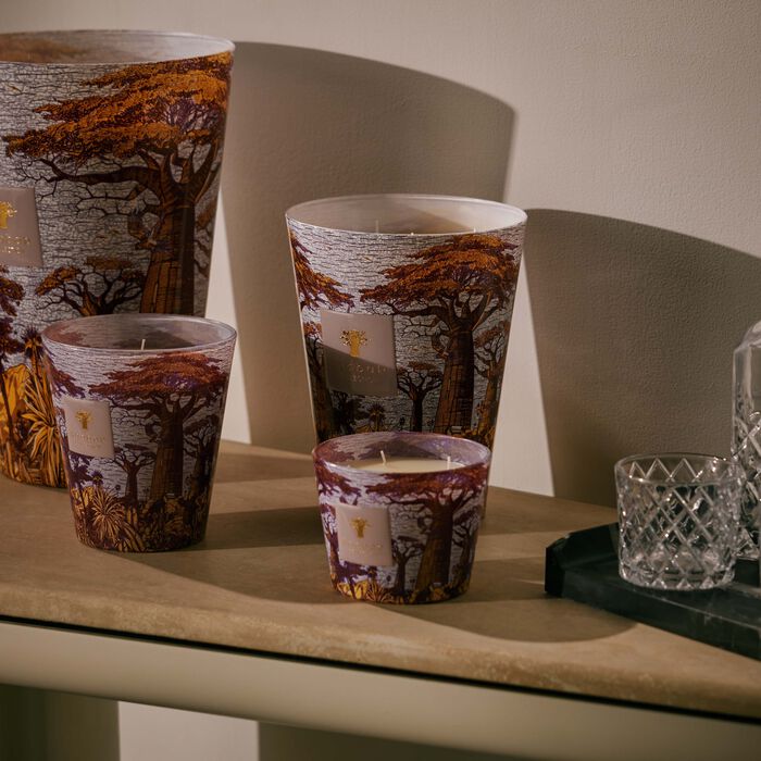 baobab collection sacred trees massasso candle max 10