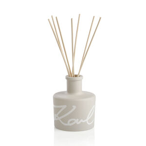 Bois Epicé- Reed Diffuser With Natural Sticks, medium