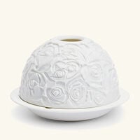 برناردو مصباح ليثوفاني روز