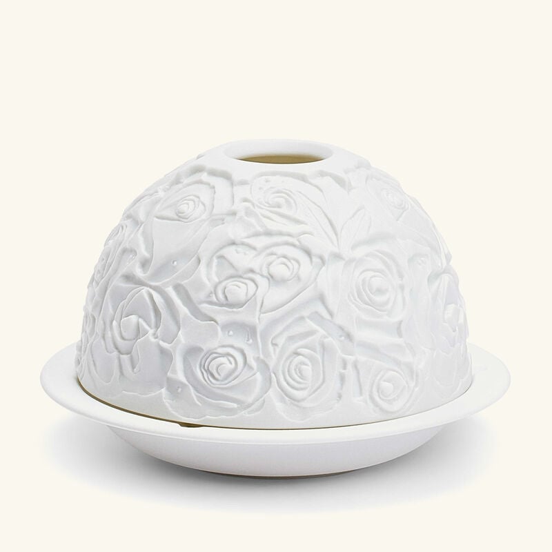 برناردو مصباح ليثوفاني روز