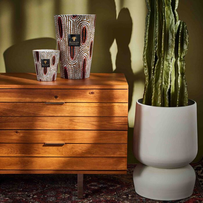baobab collection maxi wax panya candle maxi max