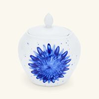 bernardaud in bloom serving platter oval blue 23cm