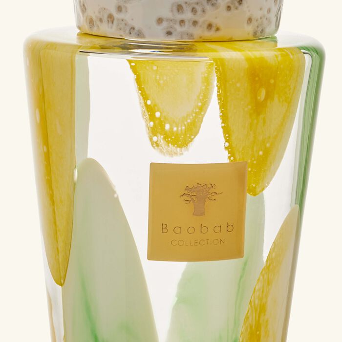 baobab collection riviera leopolda totem diffuser 2l
