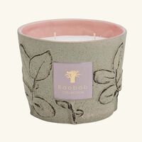 baobab collection folia maquis candle max 10
