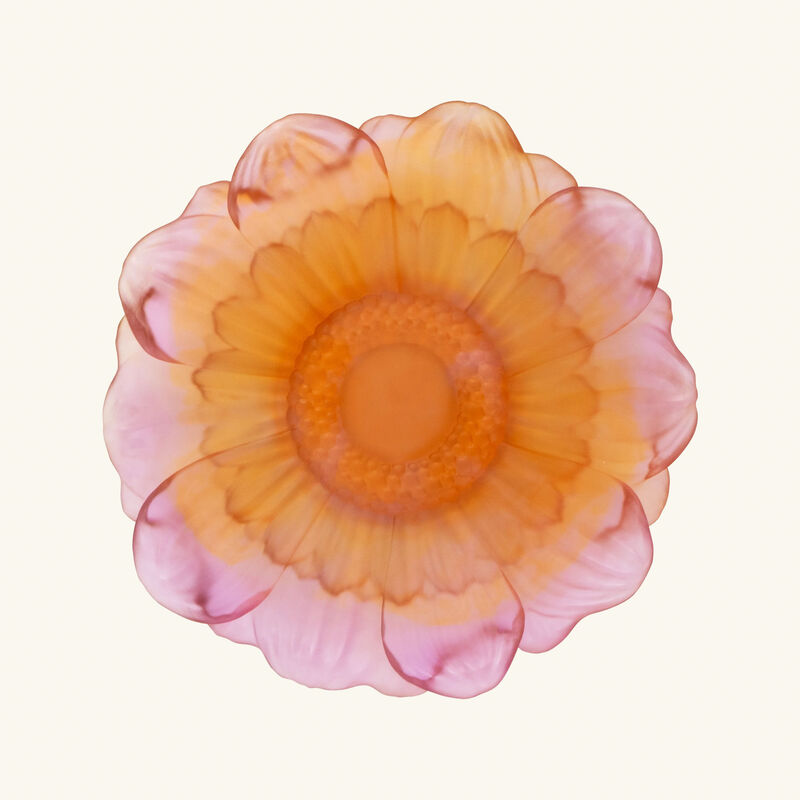 daum or d abeille presentation flower amber pink medium