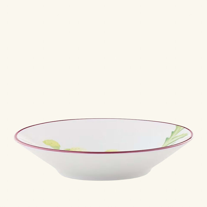ginori 1737 florenza acanto impero coffee cup saucer green