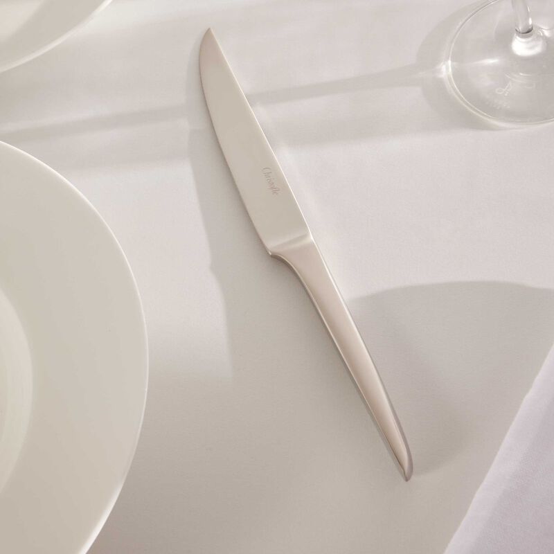 L'Ame De Christofle Steak Knife Stainless Steel l ame de christofle steak knife stainless steel