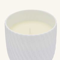 Twist Tumbler with Candle bernardaud twist tumbler with candle