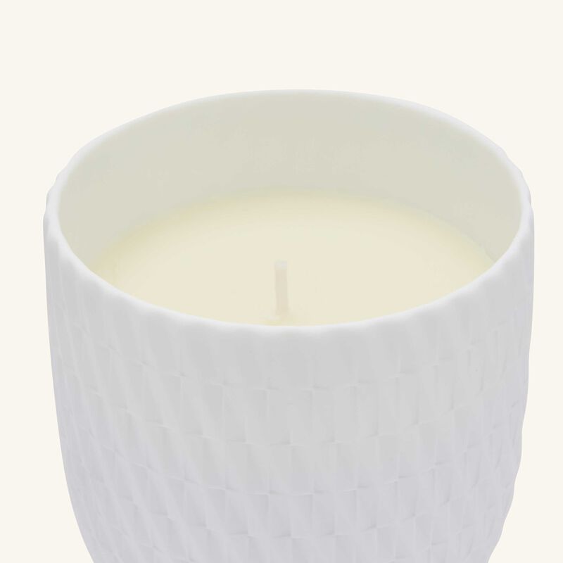 Twist Tumbler with Candle bernardaud twist tumbler with candle