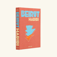 assouline beirut habibi book 33x25cm